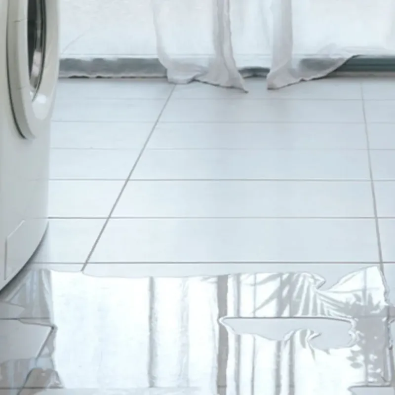 Appliance Leak Cleanup in Ford County, KS