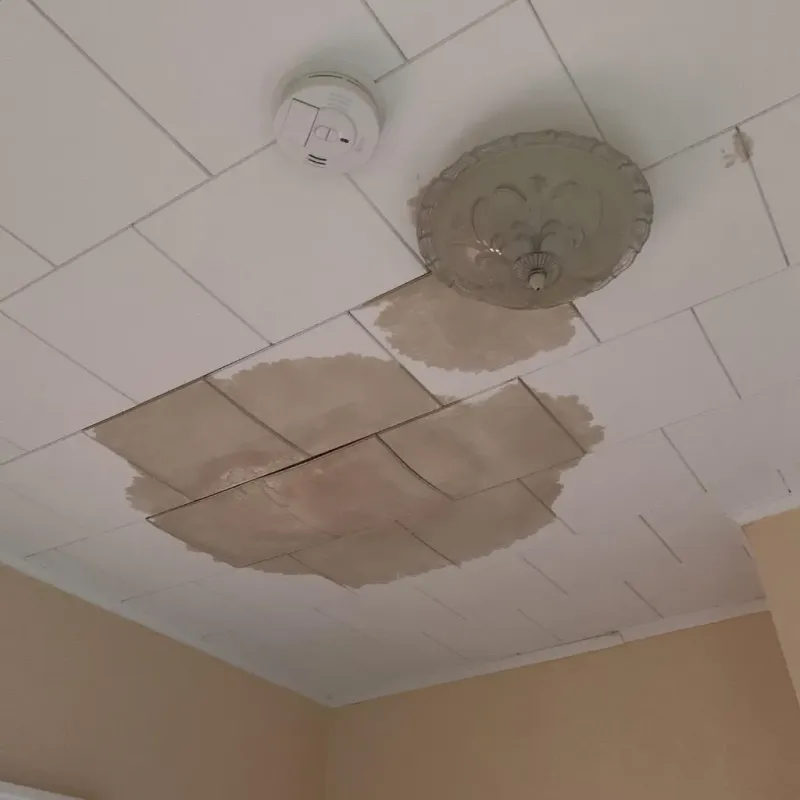 Ceiling Water Damage Repair in Ford County, KS