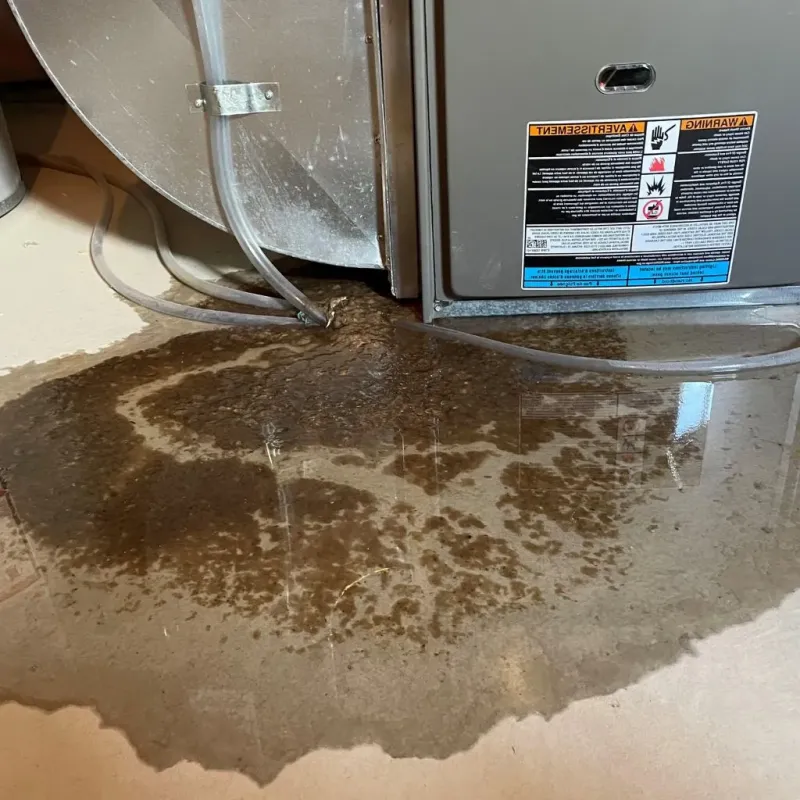 Pipe Burst and Leak Restoration in Ford County, KS