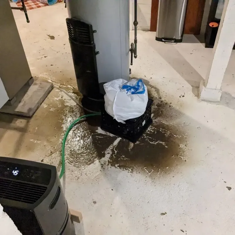Sewage Backup Cleanup Service in Ford County, KS